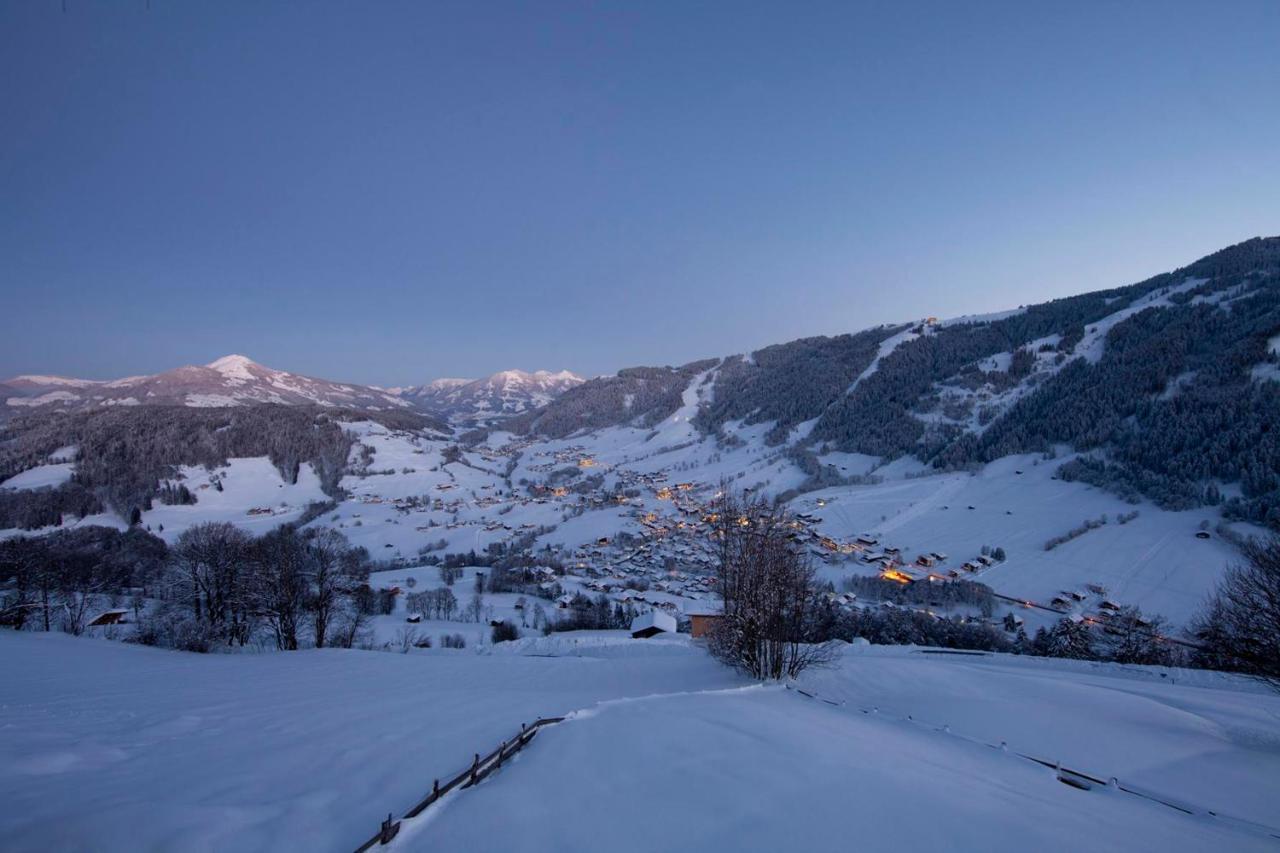 Exklusiv Apartment Sonnenalp Niederau Luaran gambar